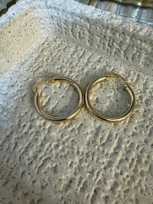 Evelyn hoops small