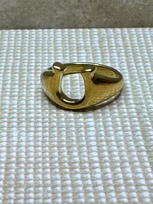Cowboy country ring