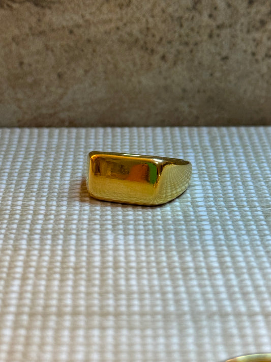 Rodeo ring
