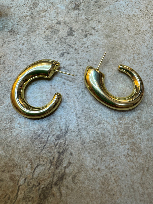 Please me earrings